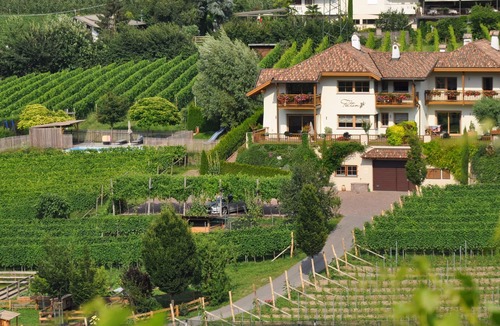 Cornaiano Apartment | Feltonhof - Holiday apartment Obst