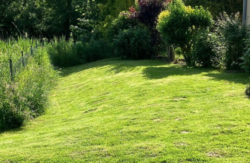 Dorumer Neufeld House | fenced house with garden