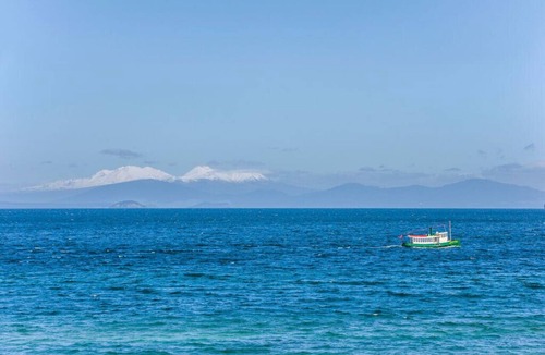Taupo Cottage | Fenworth - Taupo Holiday Home