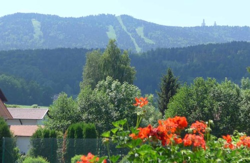Neukirchen Beim Heiligen Blut Hotel | Ferienhotel Münch