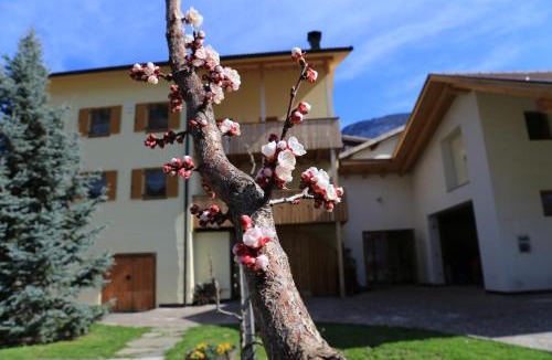 Cortina Sulla Strada del Vino Apartment | Ferienhof Weingenuss