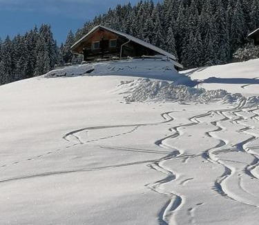 Hippach House | Ferienhütte Georg
