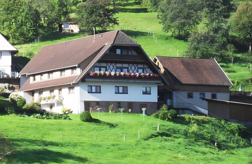 Bad Peterstal-Griesbach Apartment | Ferienhof Brutoni Apartment "Waldzauber" with Mountain View, Balcony, Shared Barbecue Area