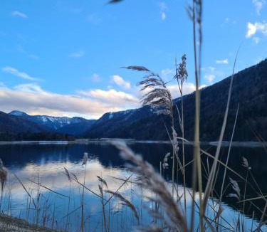 Hintersee Apartment | Ferienhaus Gerlach