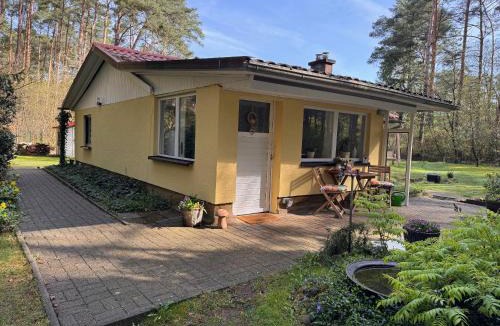 Borkwalde House | Ferienhaus im Wald