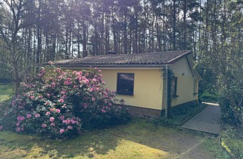 Borkwalde House | Ferienhaus im Wald