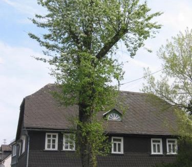 Daaden Apartment | Ferienhaus Mittelstraße