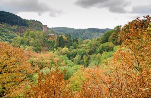 Kopp House | Ferienhaus Vulkaneifel Kopp