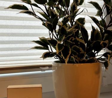 Westerstede Apartment | Ferienhaus Weidblick