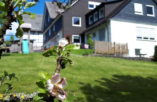 Grafschaft House | Ferienunterkunft Schrichten