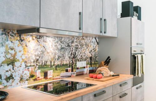 Durbach Apartment | Ferienwohnung 12 Kirschen
