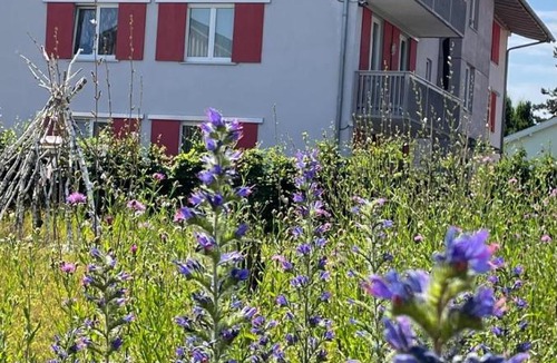 Bad Aibling Apartment | Ferienwohnung Allium