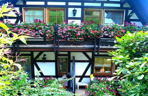 Sasbachwalden Apartment | Ferienwohnung Bachschwalbe mit ca. 60qm, 1 Schlafraum, für maximal 2 Personen