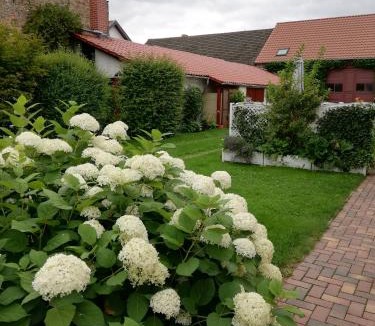 Markische Heide Apartment | Ferienwohnung Blick zu den Sternen
