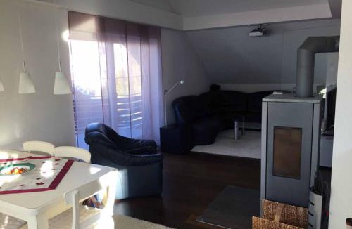 Seidmannsdorf Apartment | Ferienwohnung Buchbergblick