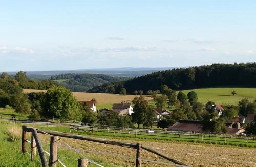 Neckarsteinach Apartment | Ferienwohnung Darsberg