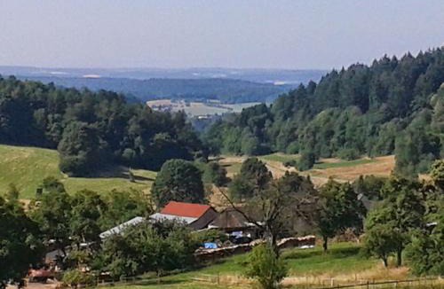Neckarsteinach Apartment | Ferienwohnung Darsberg