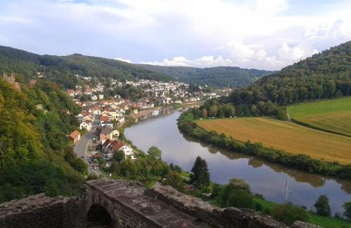 Neckarsteinach Apartment | Ferienwohnung Darsberg