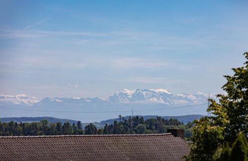 Uehlingen-Birkendorf Apartment | Ferienwohnung "Schlüchttalblick" mit privater Sauna, Ühlingen-Birkendorf