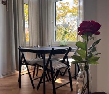 Center Apartment | Ferienwohnung Deichresidenz