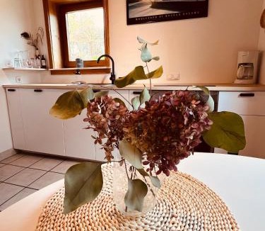 Winterscheiderbroel Apartment | Ferienwohnung Derscheid