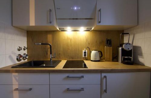 Loerrach Apartment | Ferienwohnung Dreiländereck 1