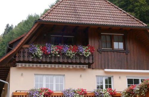 Wolfach - Saint Roman Apartment | Ferienwohnung Eulennest