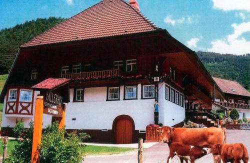 Elzach Apartment | Ferienwohnung Faller