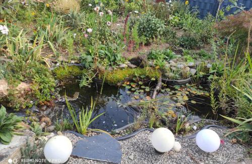 Vaihingen an der Enz Apartment | Ferienwohnung Gartenblick
