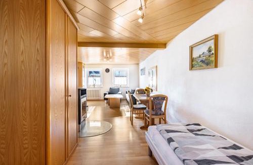 Engen Apartment | Ferienwohnung Hewenpanorama 1