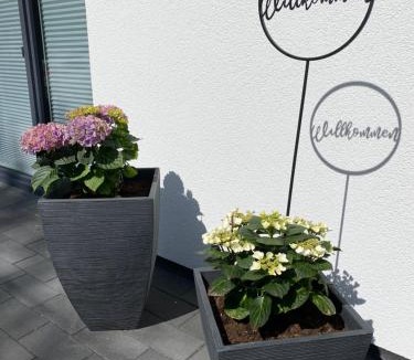 Grafendhron Apartment | Ferienwohnung Im Dhrontal