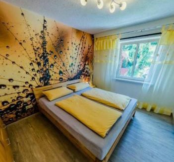 Schwarzwald Apartment | Ferienwohnung Luisenthal