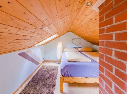 Schwarzwald Apartment | Ferienwohnung Luisenthal