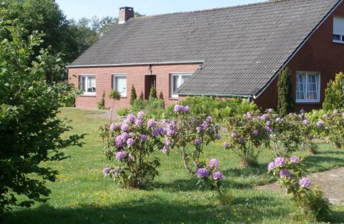 Hesel Apartment | Ferienwohnung Mientje, 35214