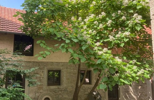 Aub Apartment | Ferienwohnung mit Einem Schlafzimmer