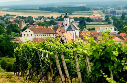 Dettelbach Apartment | Ferienwohnung mit toller Aussicht