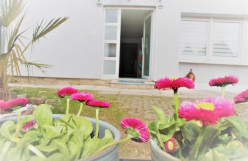 Germersheim Apartment | Ferienwohnung Morgentau