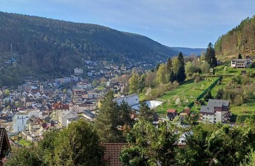 Bad Wildbad Apartment | Ferienwohnung Panoramablick