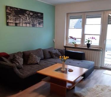 Mehring Apartment | Ferienwohnung Philippi - Moselblick mit großer Dachterrasse, 75 qm, Hunde willkommen