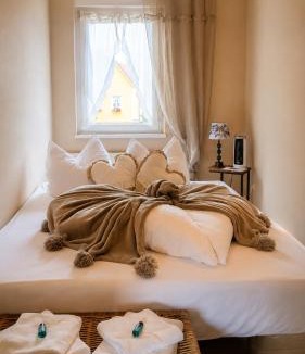 Dommitzsch Apartment | Ferienwohnung Schmidtalien,inklusive Infrarotsauna