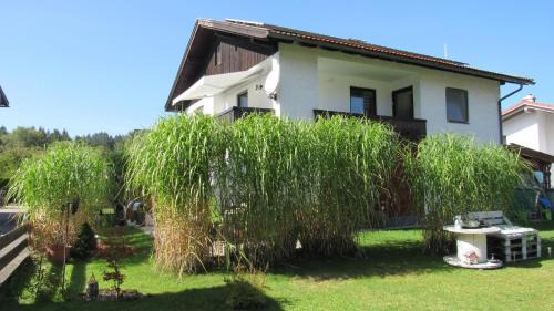 Halblech Apartment | Ferienwohnung Schopper