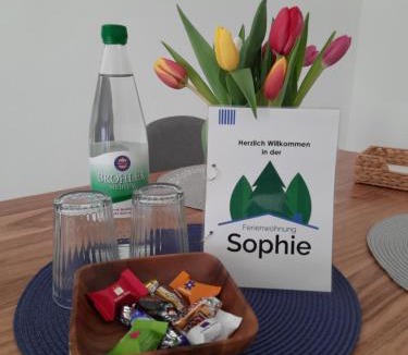 Eitelborn Apartment | Ferienwohnung Sophie - perfekt mit Kind und Kegel
