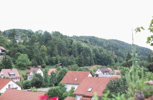 Jux Apartment | Ferienwohnung Spiegelberg