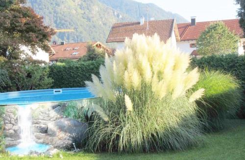 Reifing Apartment | Ferienwohnung Steffl