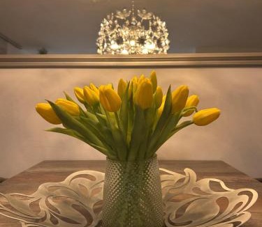 Roschbach Apartment | FERIENWOHNUNG TRUNK, kühl, direkt an den Weinbergen, Parkplatz, Terrasse mit Grill und Lounge