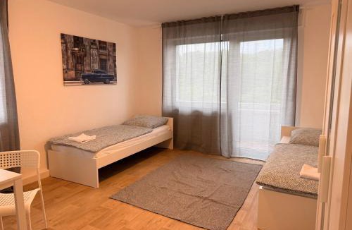 Mainz-Bingen Apartment | Ferienwohnung Weinrebe