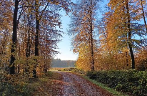 Montroty Bed & Breakfast | Ferme de la Haye