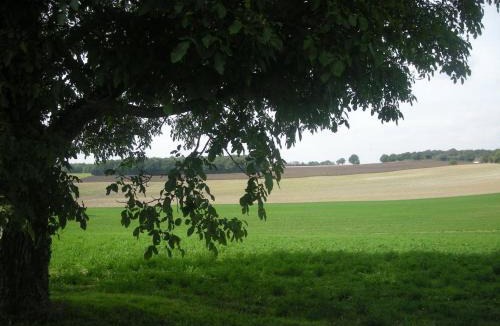 Palluau-sur-Indre House | Ferme rénovée au calme avec internet et grand espace extérieur - FR-1-591-149