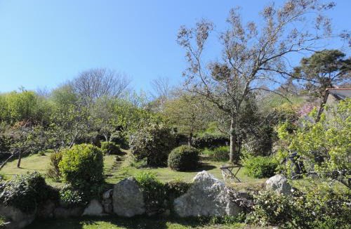 Goodwick Bed & Breakfast | Fern Villa B&B