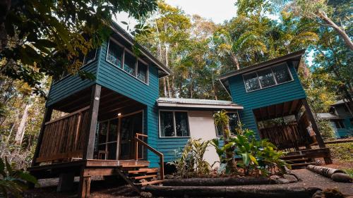 Cape Tribulation Cabin | Ferntree Rainforest Lodge